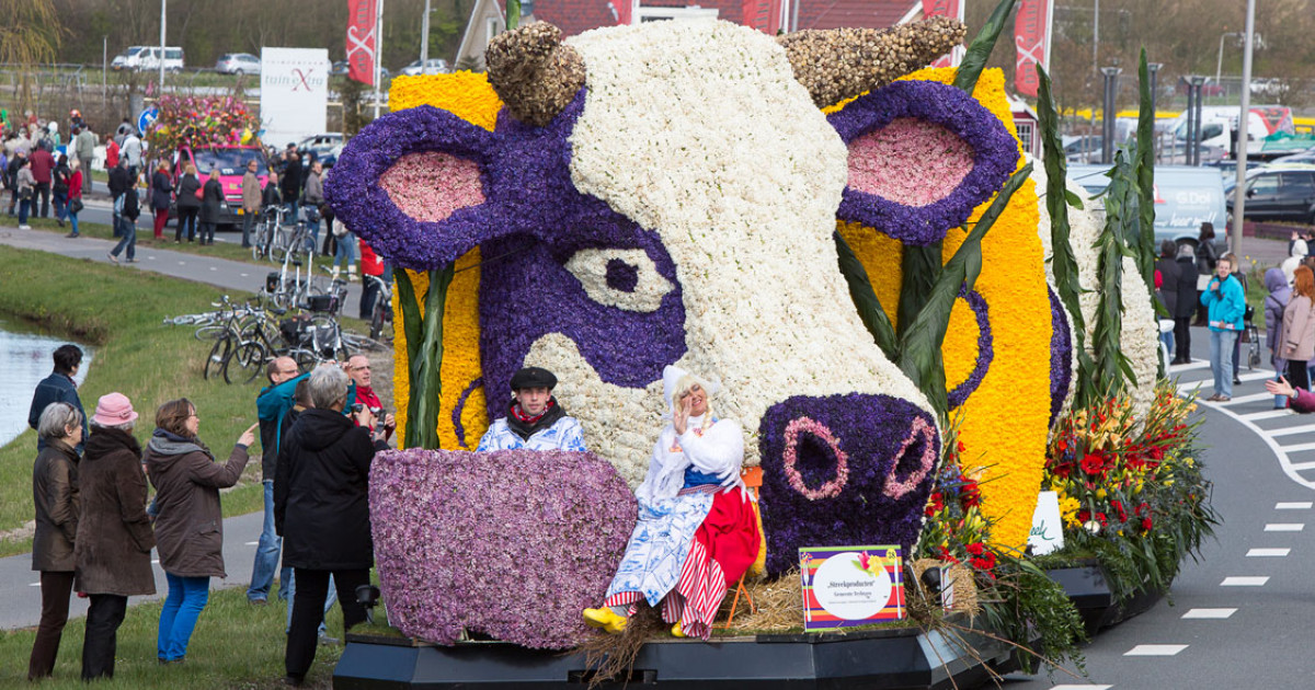 Цветочный фестиваль Bloemencorso в Нидерландах